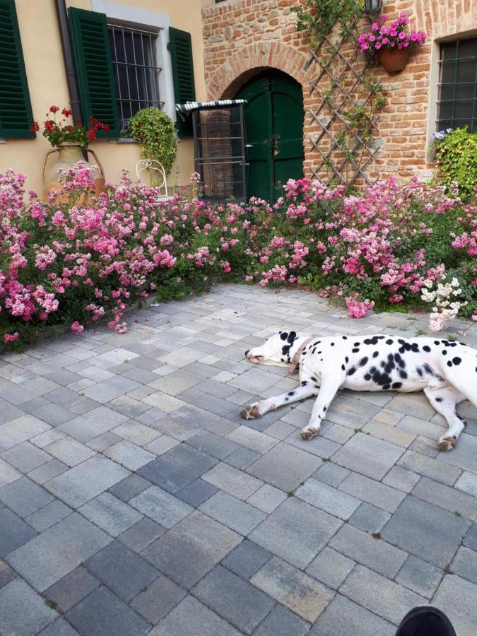Casa Relax Immersa Nel Verde Della Natura Casalborgone Εξωτερικό φωτογραφία