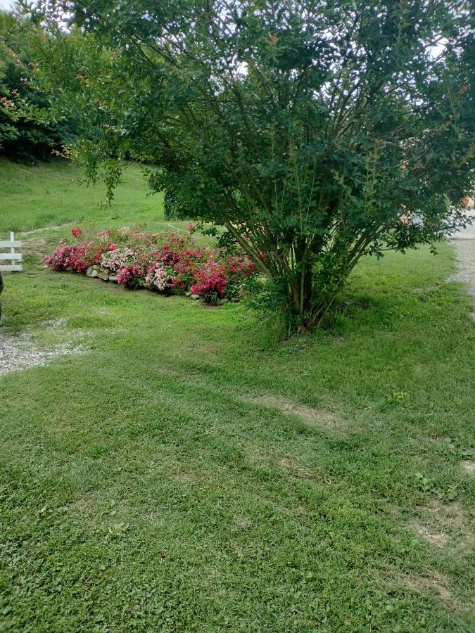 Casa Relax Immersa Nel Verde Della Natura Casalborgone Εξωτερικό φωτογραφία