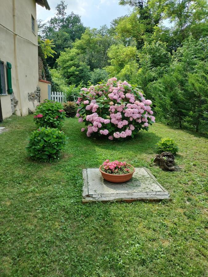 Casa Relax Immersa Nel Verde Della Natura Casalborgone Εξωτερικό φωτογραφία