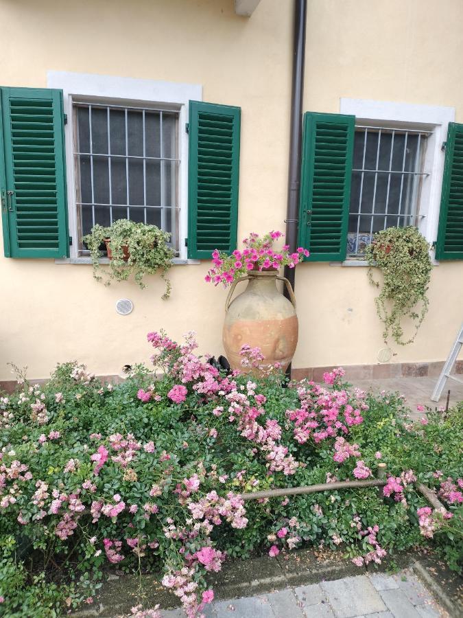 Casa Relax Immersa Nel Verde Della Natura Casalborgone Εξωτερικό φωτογραφία