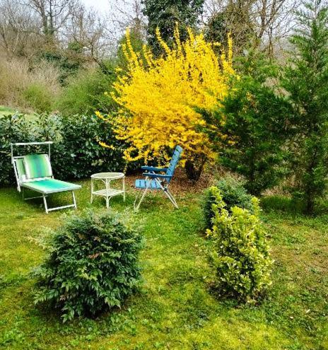 Casa Relax Immersa Nel Verde Della Natura Casalborgone Εξωτερικό φωτογραφία